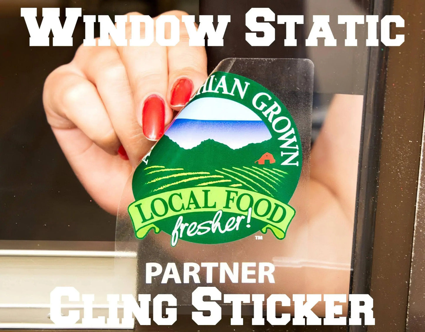 Versatile ClingPrint Decal: Enhance Your Space with Ease